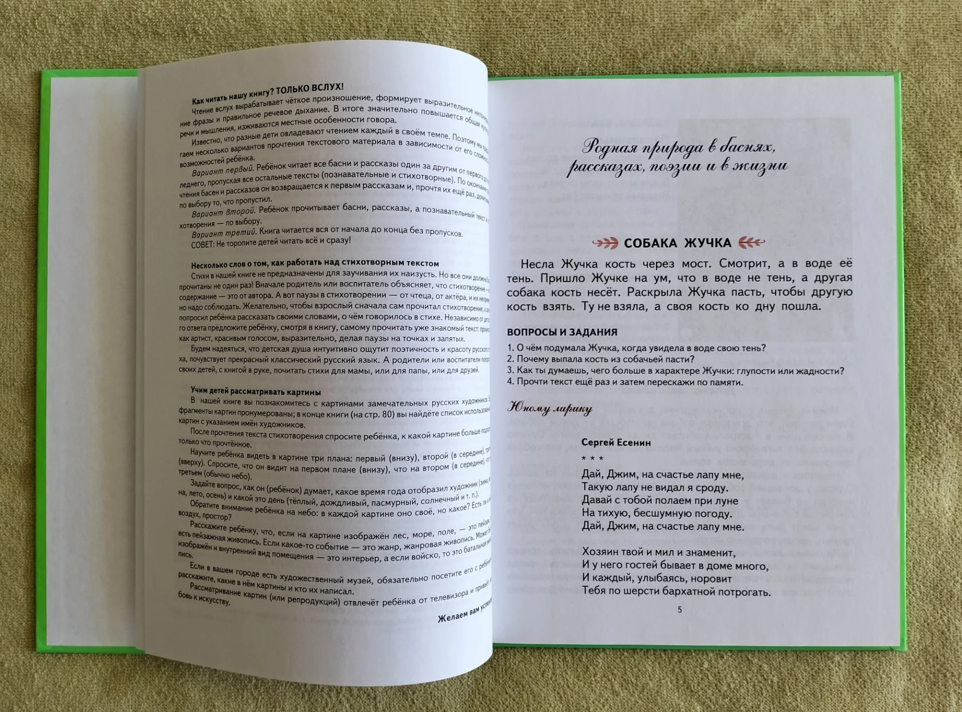 Первая после букваря книга для чтения Надежда Жукова 2016 - миниатюра 3