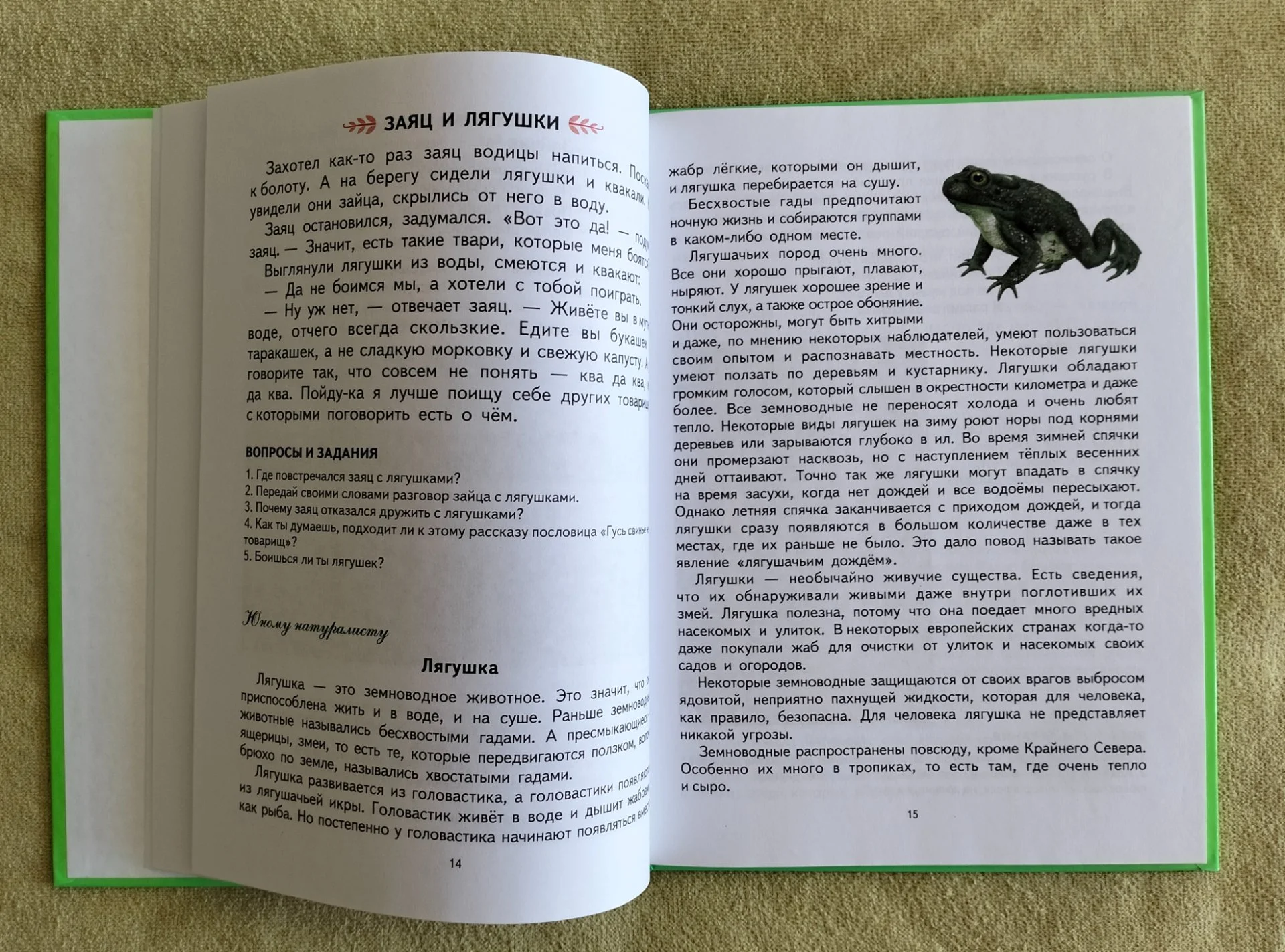Первая после букваря книга для чтения Надежда Жукова 2016 - миниатюра 4