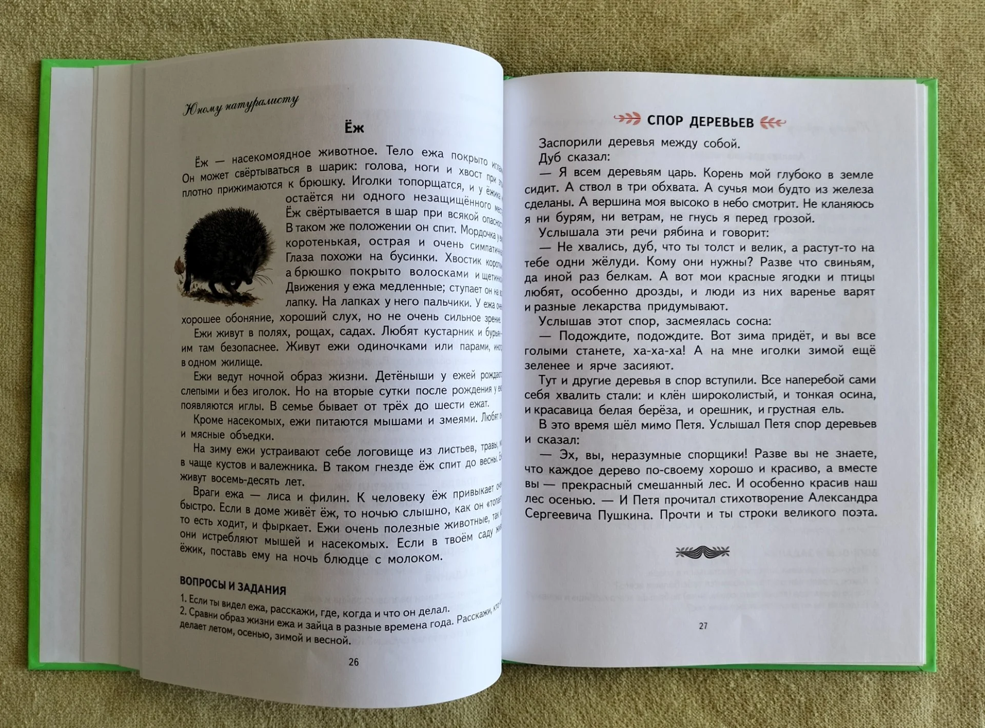 Первая после букваря книга для чтения Надежда Жукова 2016 - миниатюра 5