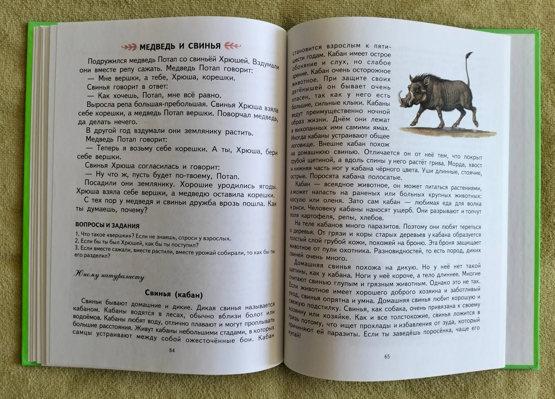 Первая после букваря книга для чтения Надежда Жукова 2016 - миниатюра 7