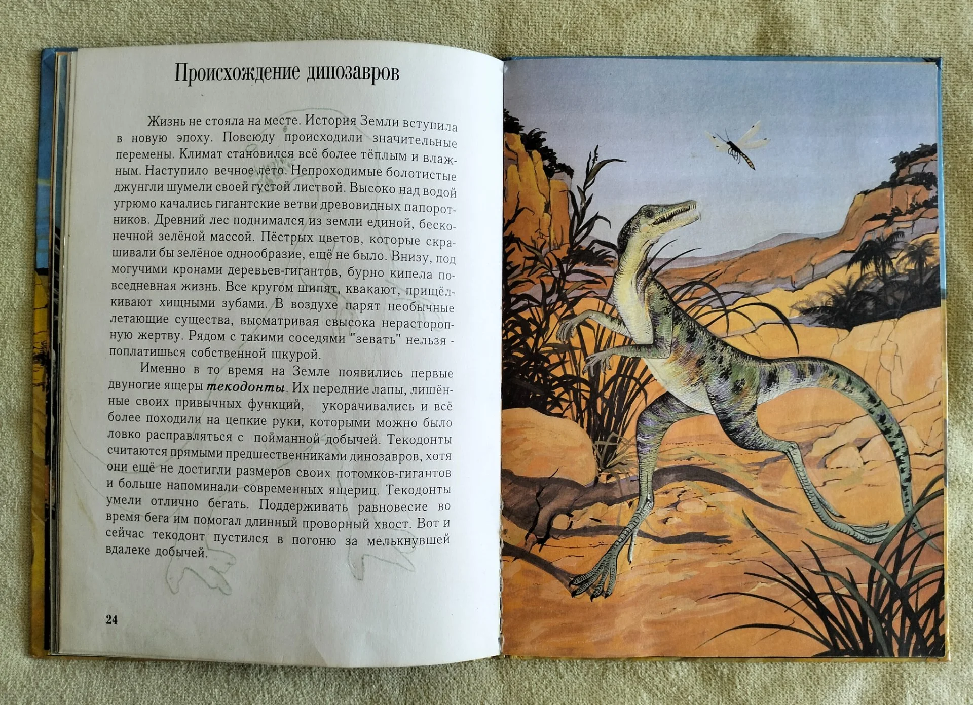 Миллионы лет до нашей эры Владимир Коровин 1993 - миниатюра 5