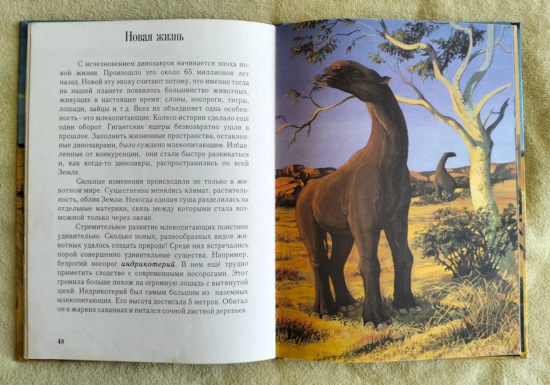 Миллионы лет до нашей эры Владимир Коровин 1993 - миниатюра 8