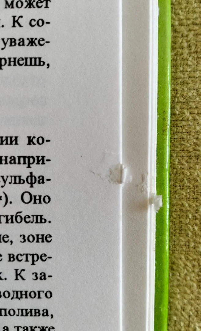 Детская книга Экологическая азбука для детей и подростков 1995 - миниатюра 8
