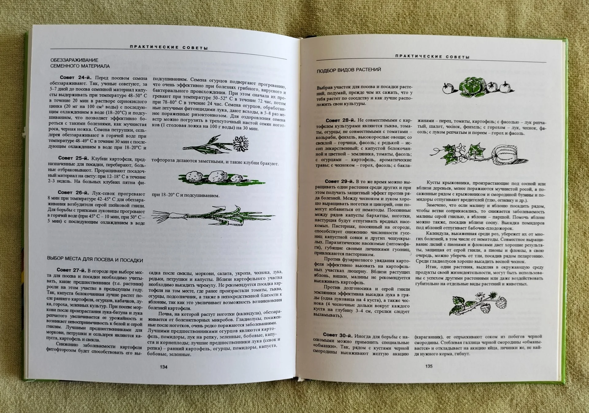 Детская книга Экологическая азбука для детей и подростков 1995 - миниатюра 10