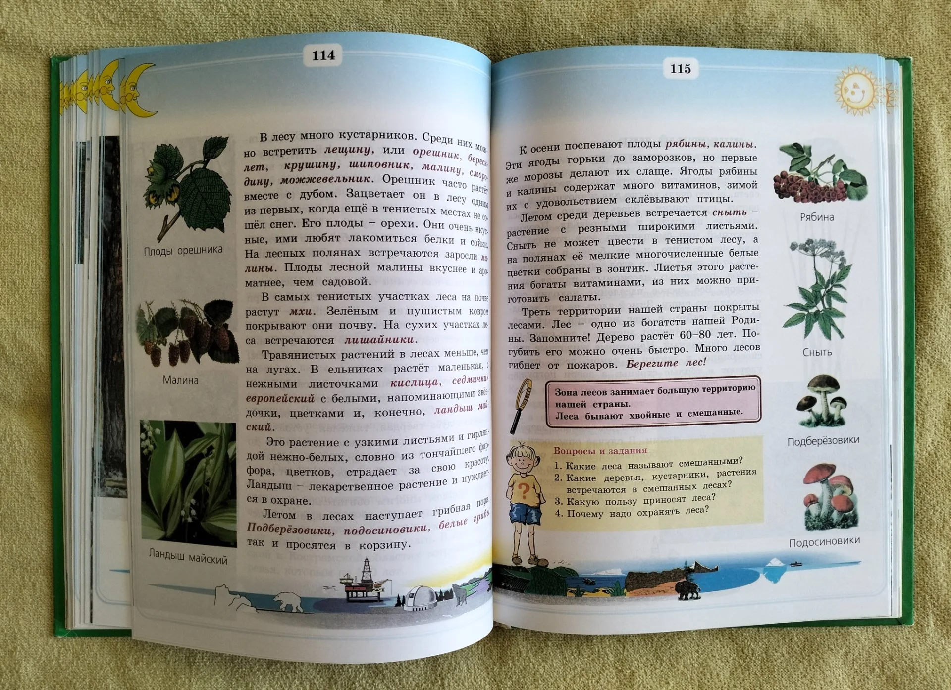 Учебник Природоведение и экология 3 класс 1998 - миниатюра 8