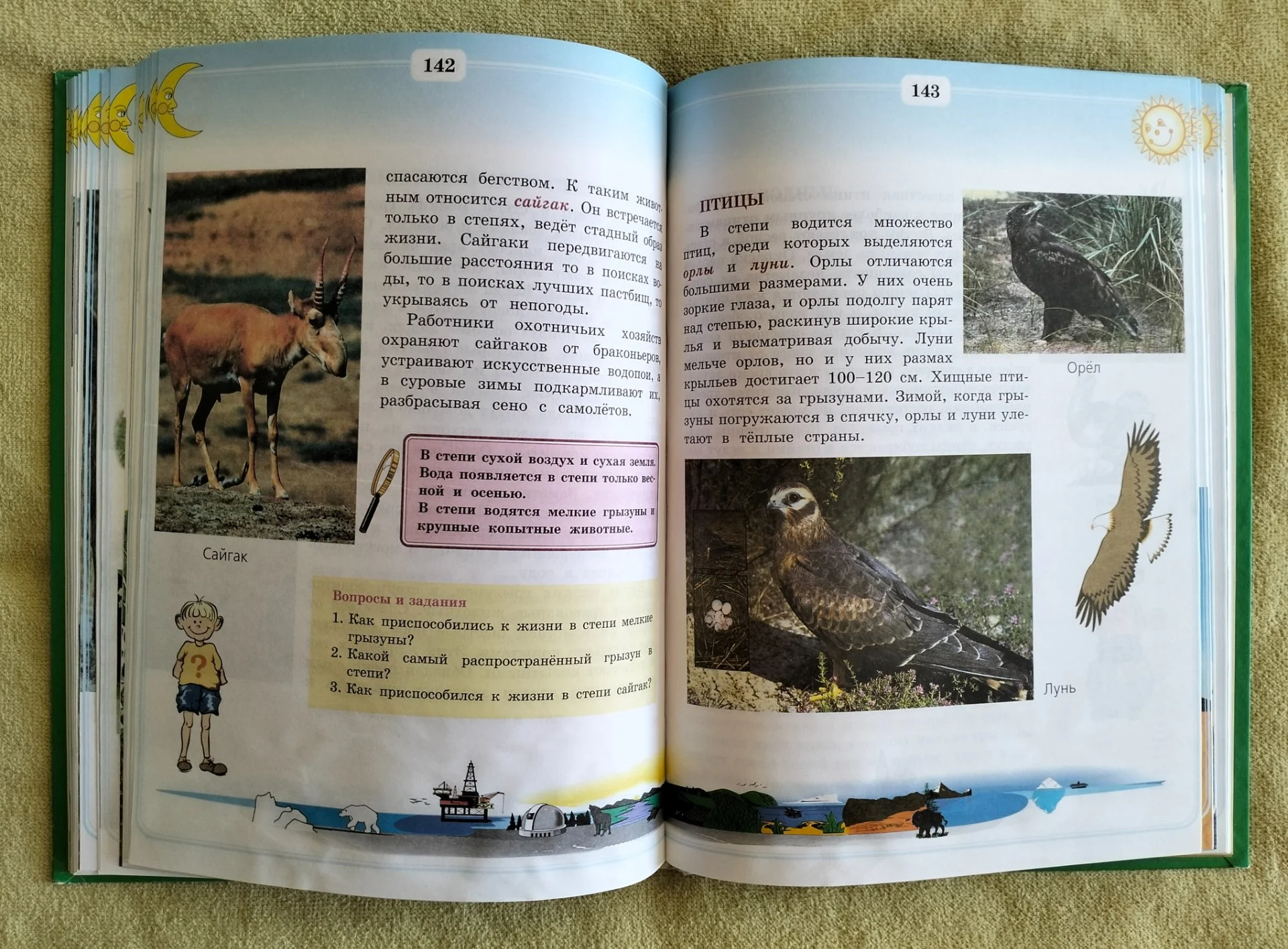 Учебник Природоведение и экология 3 класс 1998 - миниатюра 9