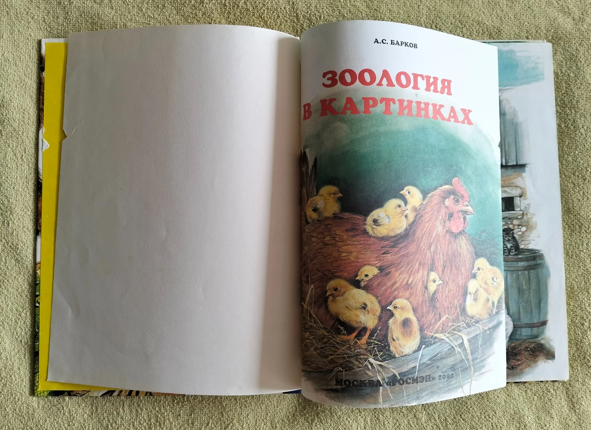 Зоология в картинках Александр Барков 2002 - миниатюра 2