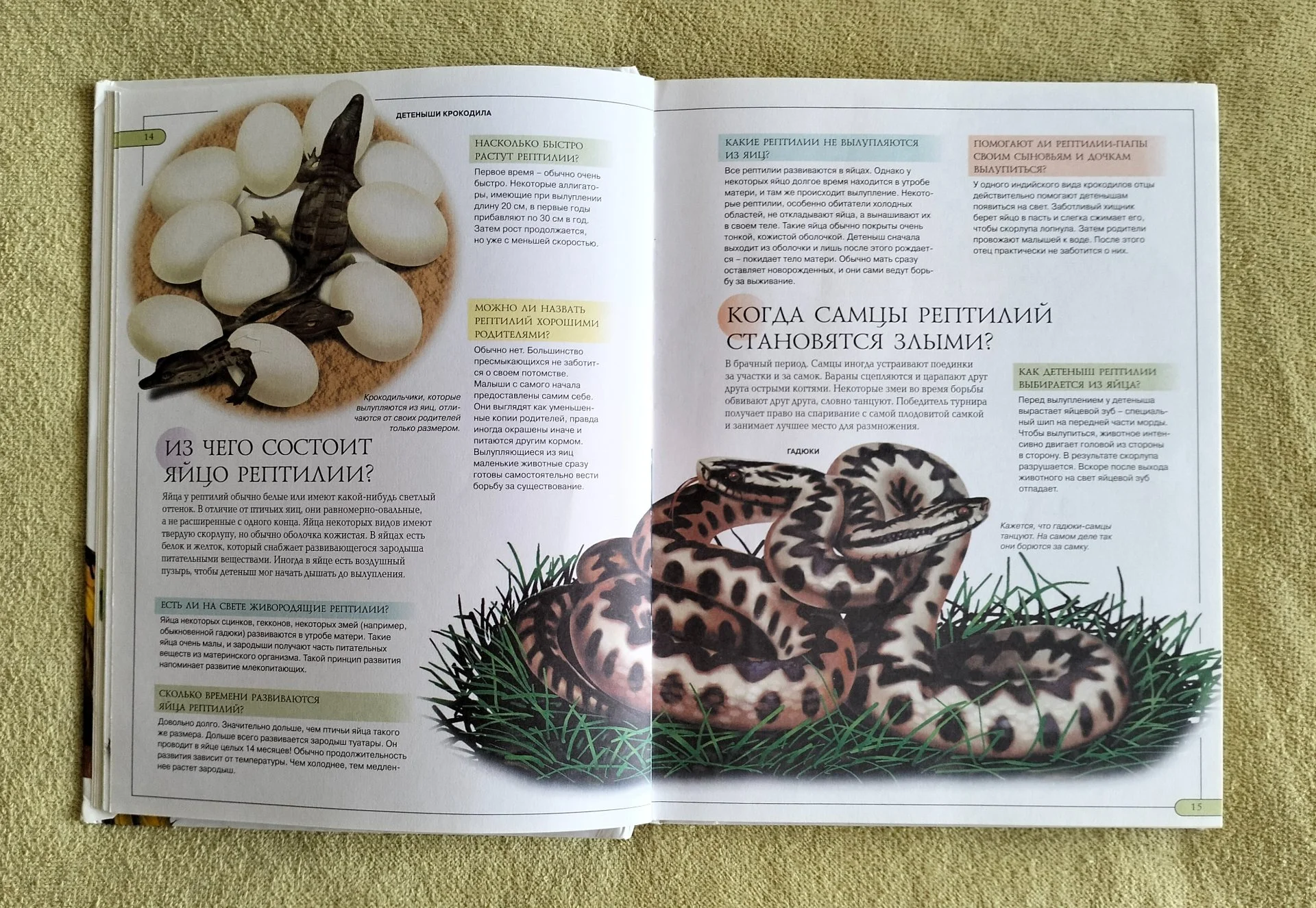 Животные Моя первая детская энциклопедия в вопросах и ответах АСТ Астрель 2012 - миниатюра 8