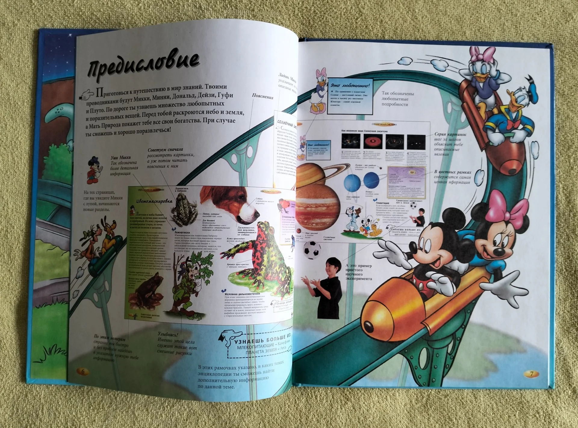 Рептилии и амфибии Хочу всё знать Disney 2002 - миниатюра 4