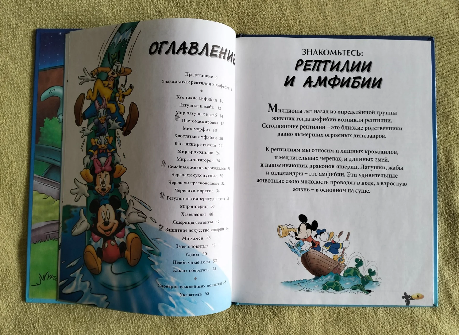 Рептилии и амфибии Хочу всё знать Disney 2002 - миниатюра 5
