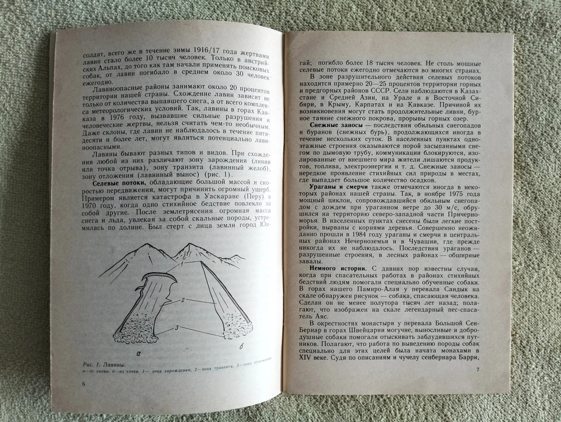 Собака поисково-спасательной службы Мстислав Усов ДОСААФ 1988 кинология - миниатюра 3