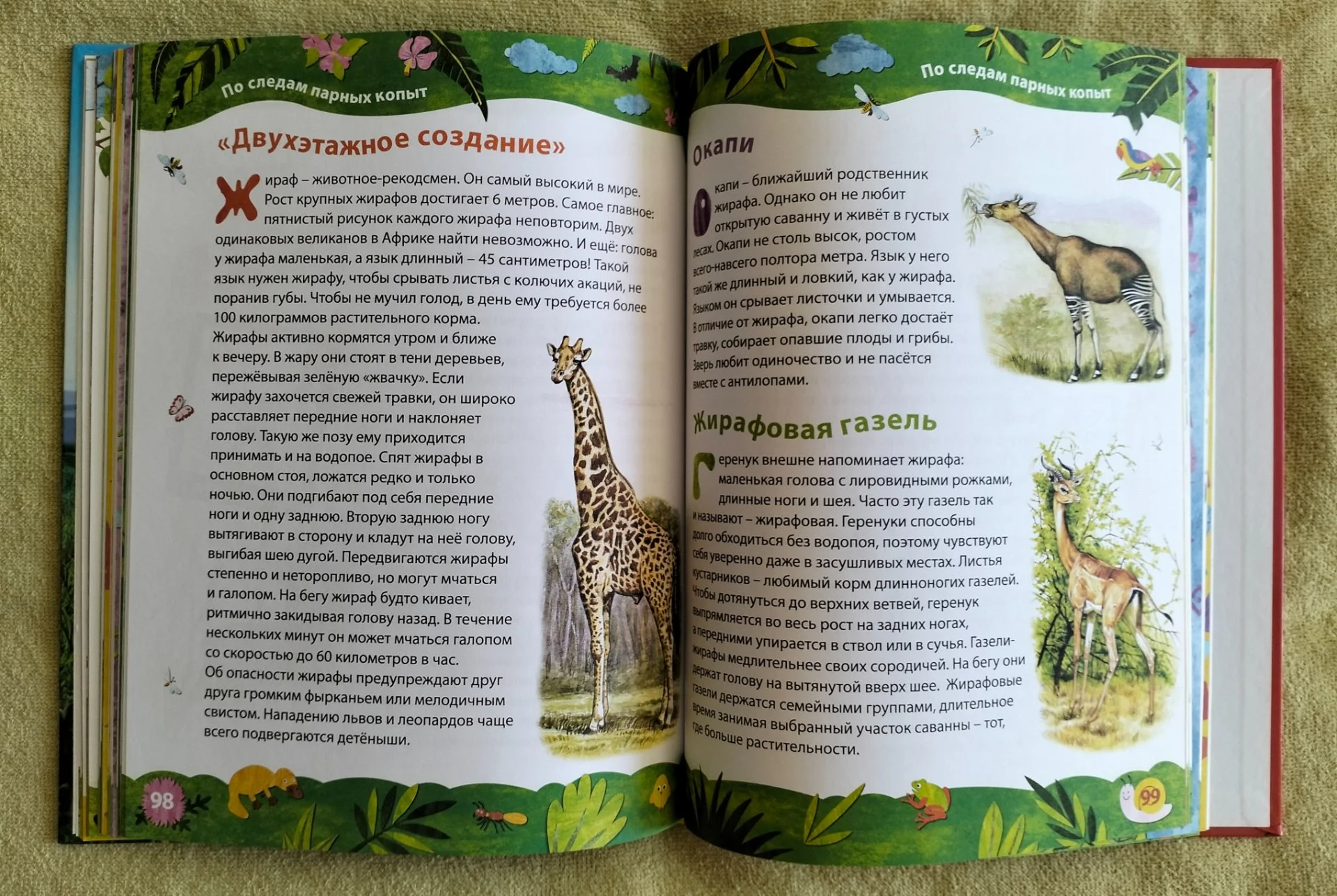 Лучшая книга о животных Внеклассное чтение Александр Тихонов 2011 - миниатюра 8