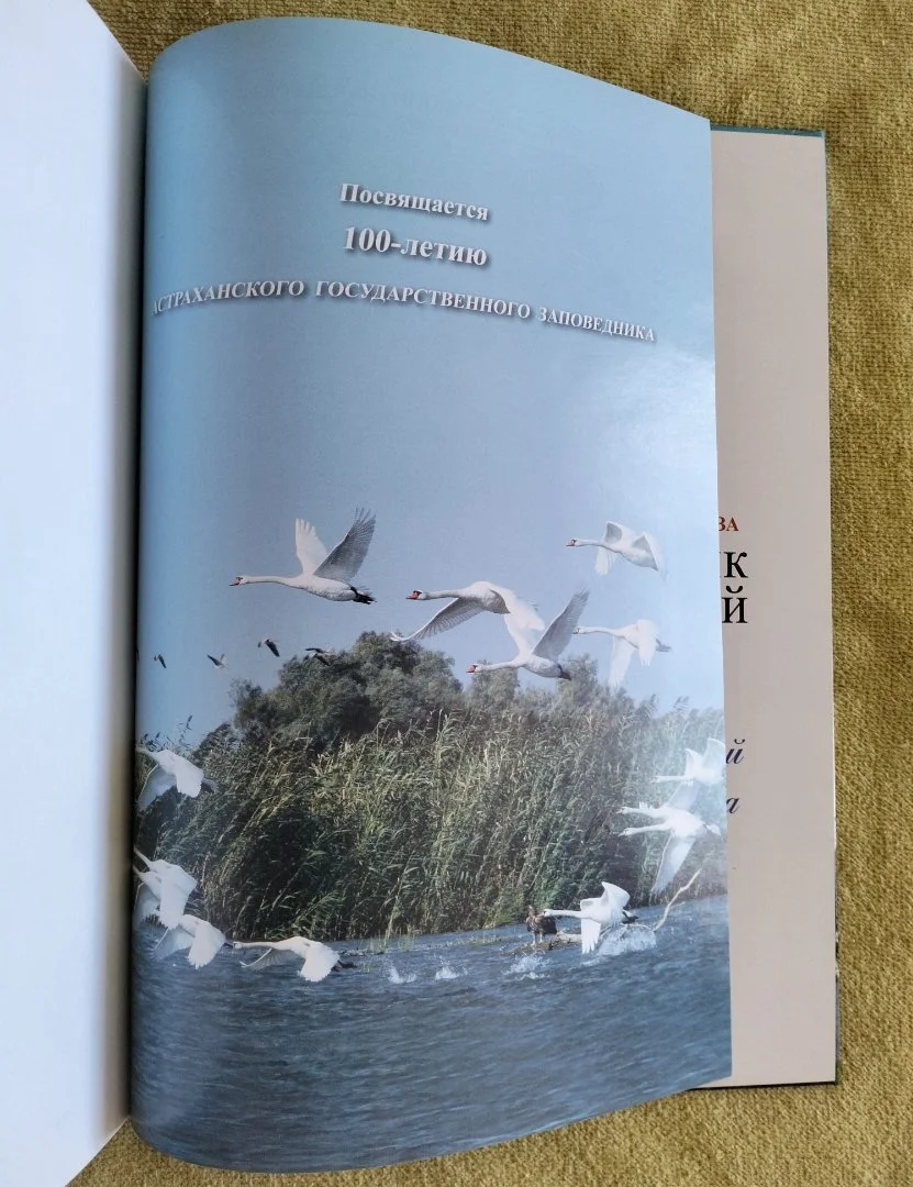 Заповедник на Быстрой Жанна Русанова Астраханский заповедник 2018 - миниатюра 4