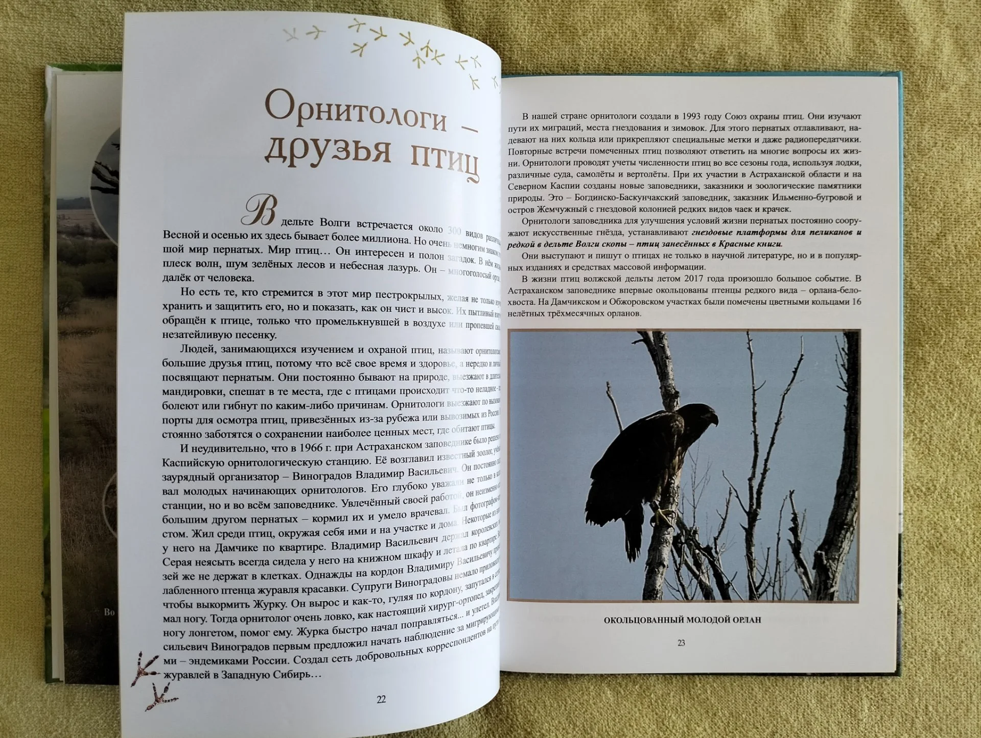 Заповедник на Быстрой Жанна Русанова Астраханский заповедник 2018 - миниатюра 7
