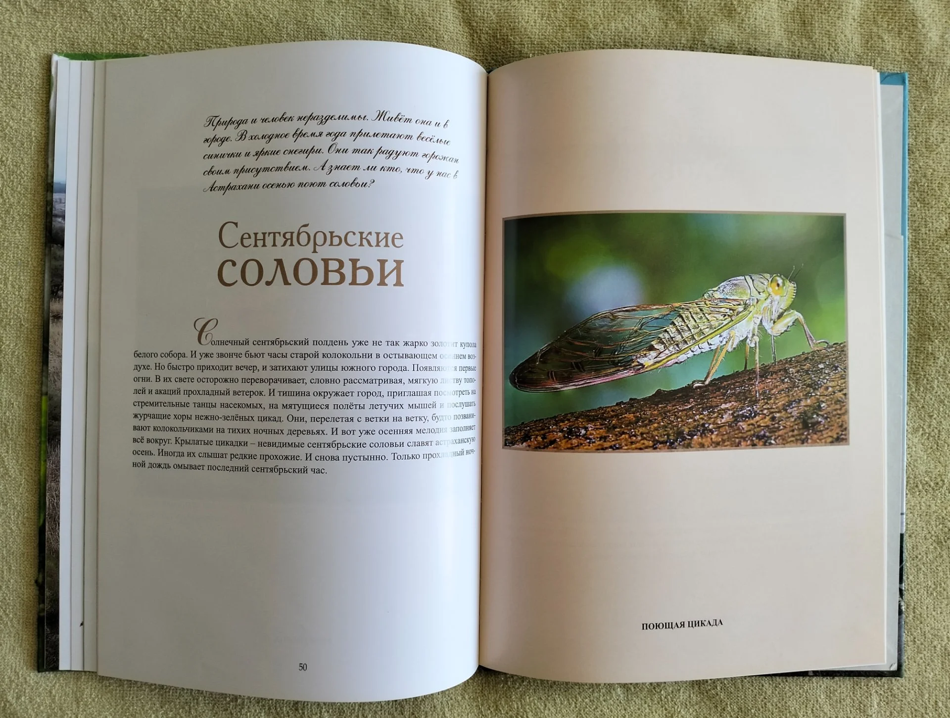 Заповедник на Быстрой Жанна Русанова Астраханский заповедник 2018 - миниатюра 9