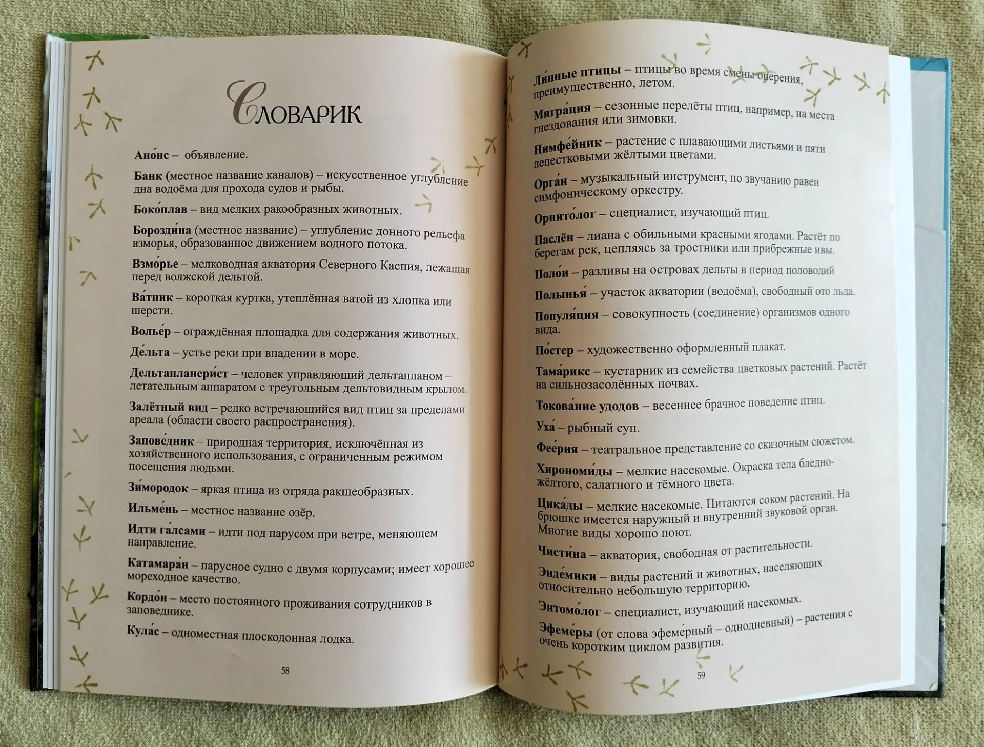 Заповедник на Быстрой Жанна Русанова Астраханский заповедник 2018 - миниатюра 11