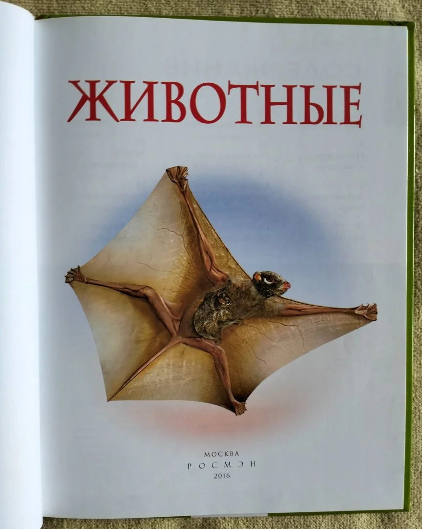 Животные Детская энциклопедия Росмэн 2016 - миниатюра 2