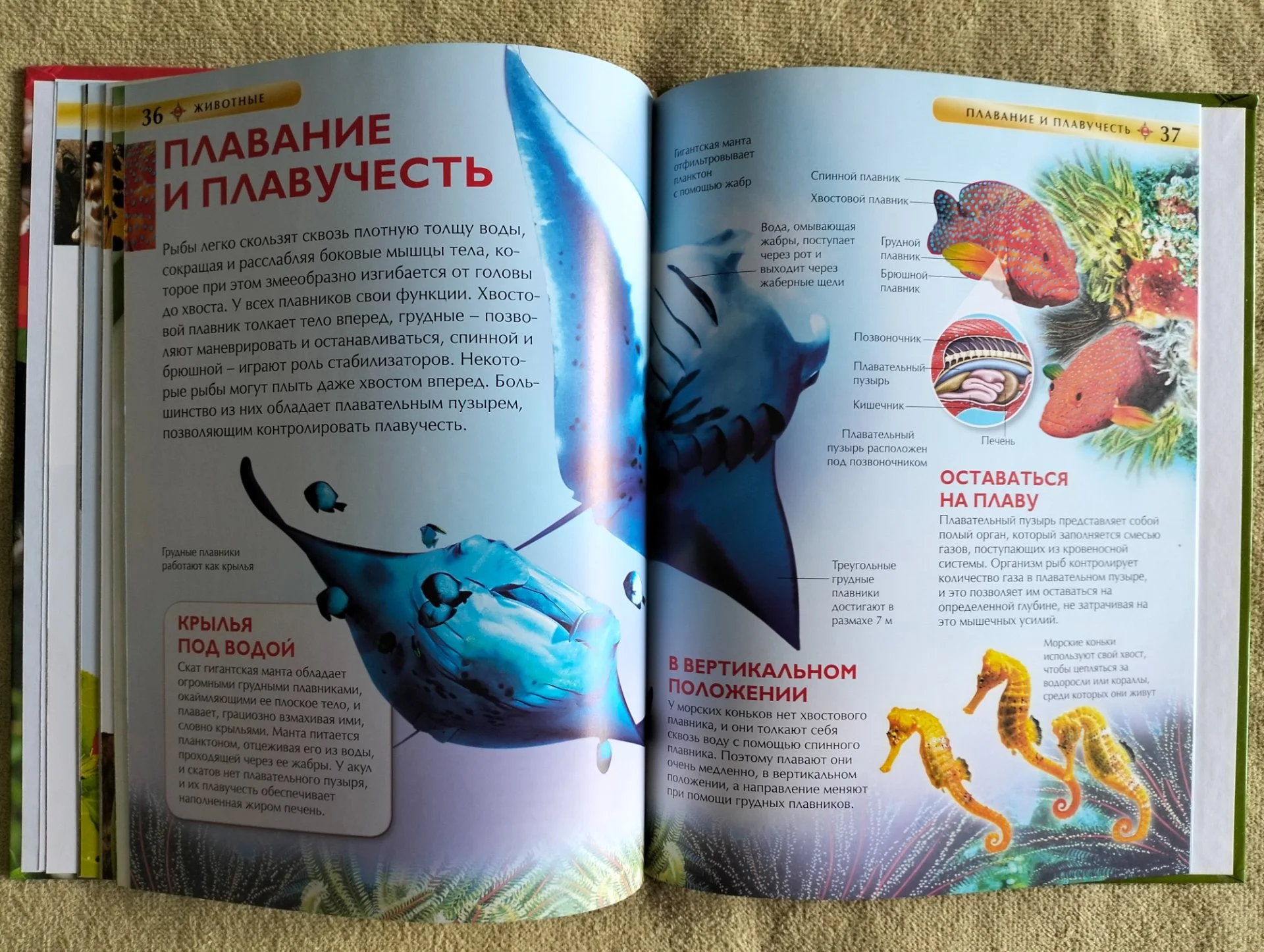 Животные Детская энциклопедия Росмэн 2016 - миниатюра 9