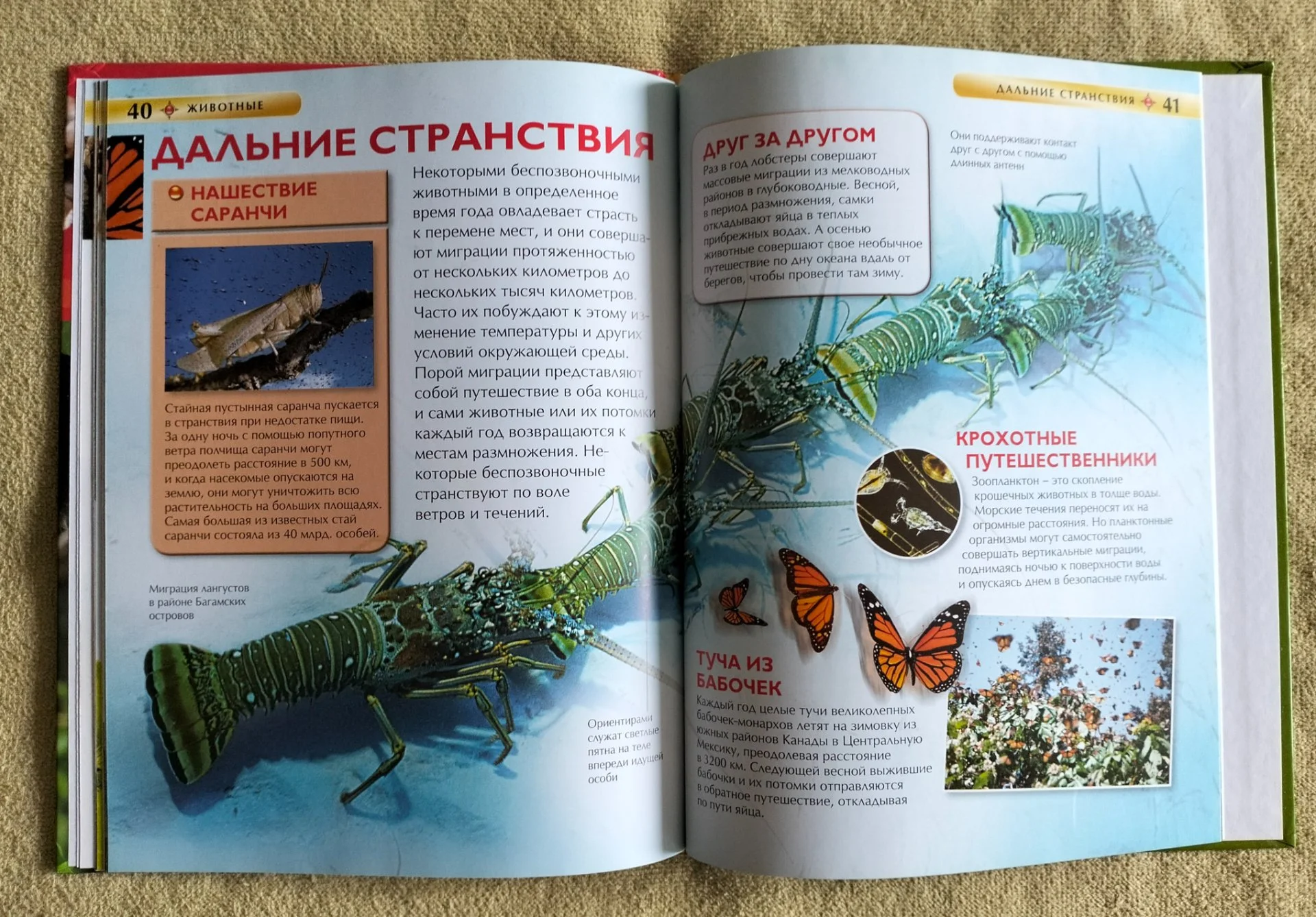 Животные Детская энциклопедия Росмэн 2016 - миниатюра 10
