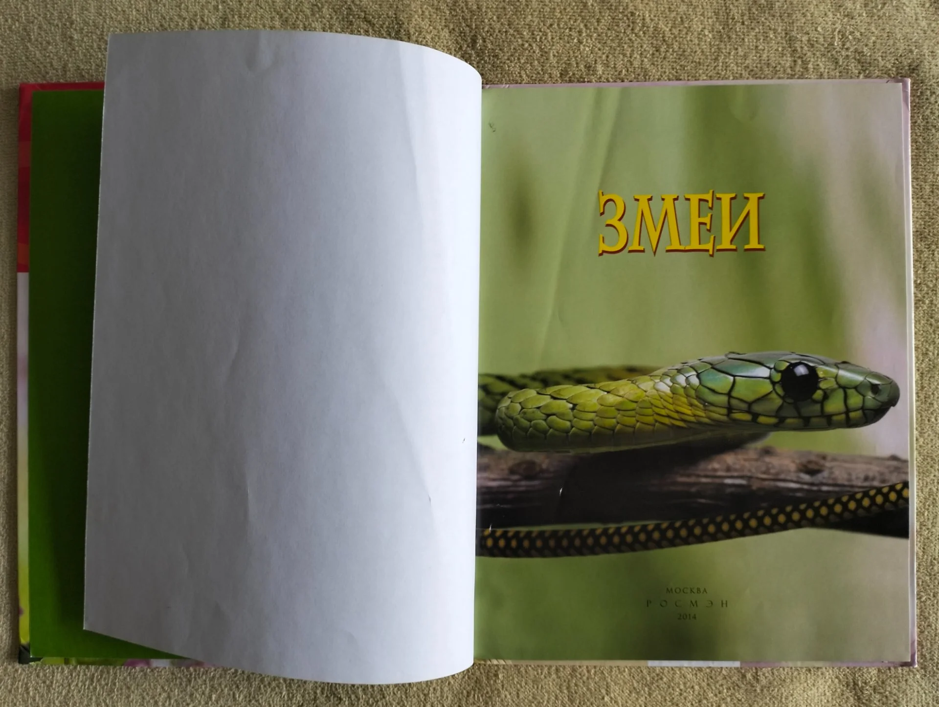 Змеи Детская энциклопедия Росмэн 2014 - миниатюра 3