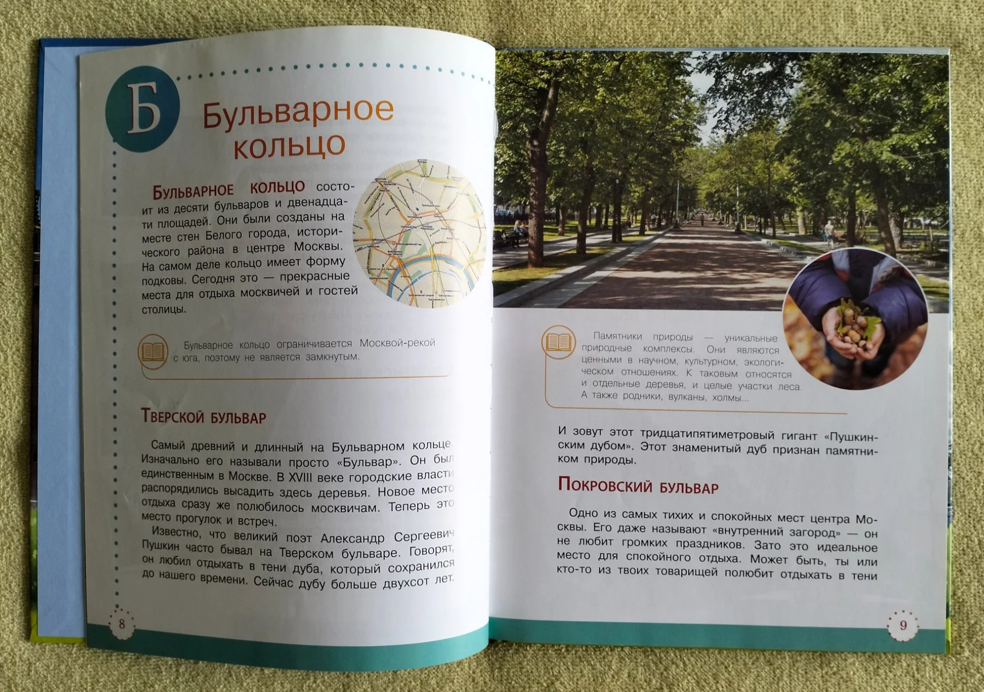 Экологическая азбука Москвы Владимир Кузнецов Детская книга - миниатюра 3