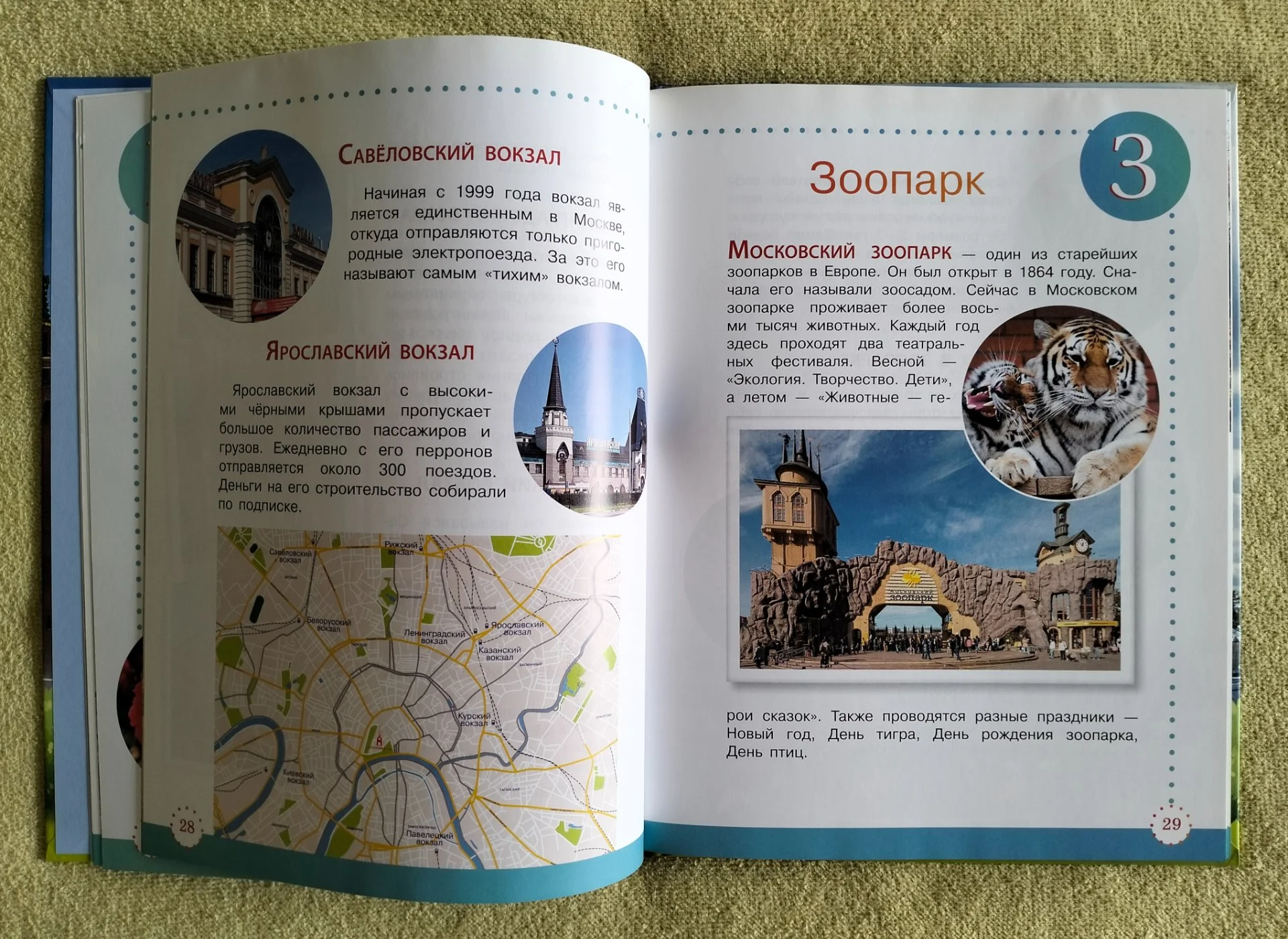 Экологическая азбука Москвы Владимир Кузнецов Детская книга - миниатюра 5