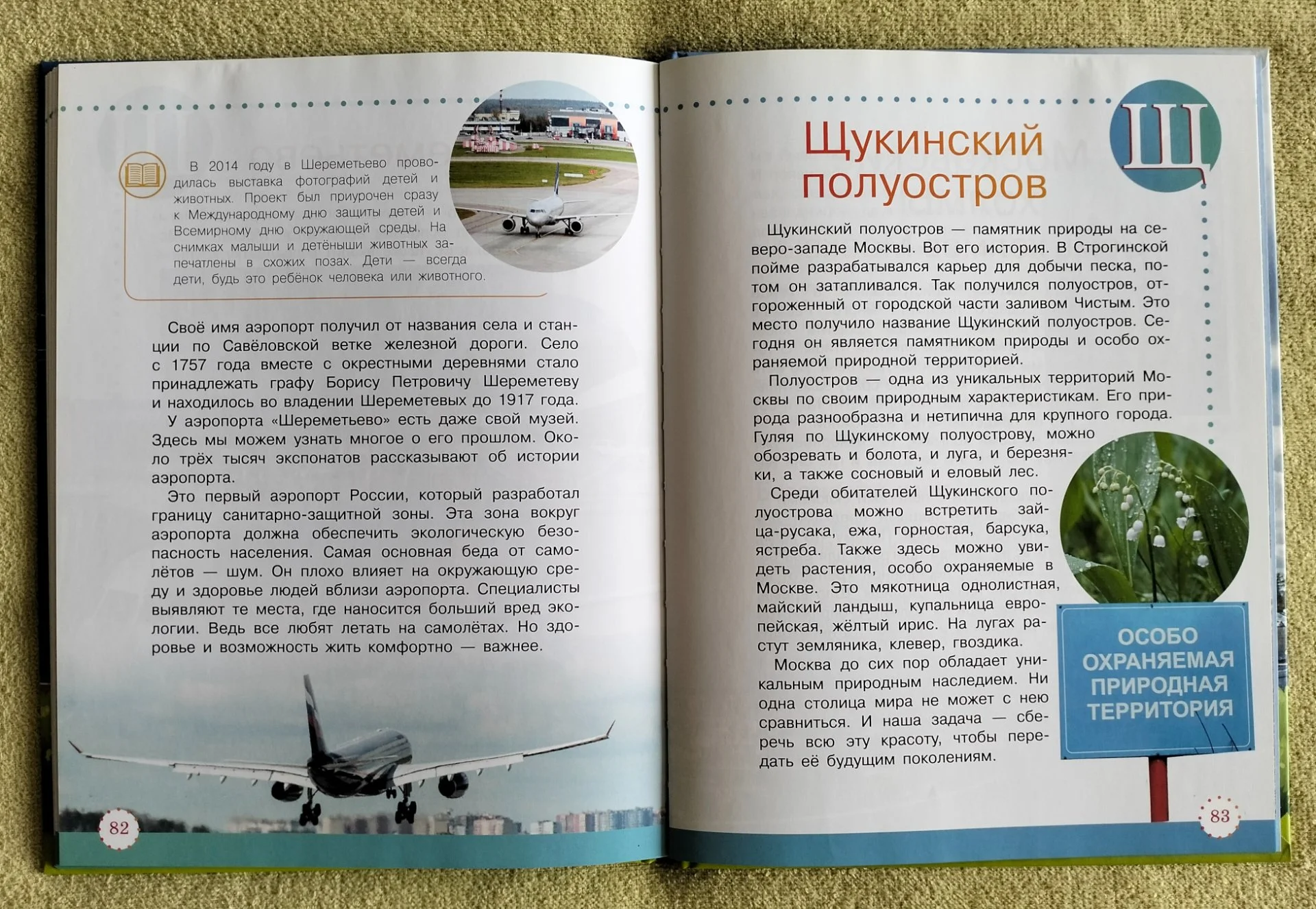 Экологическая азбука Москвы Владимир Кузнецов Детская книга - миниатюра 8