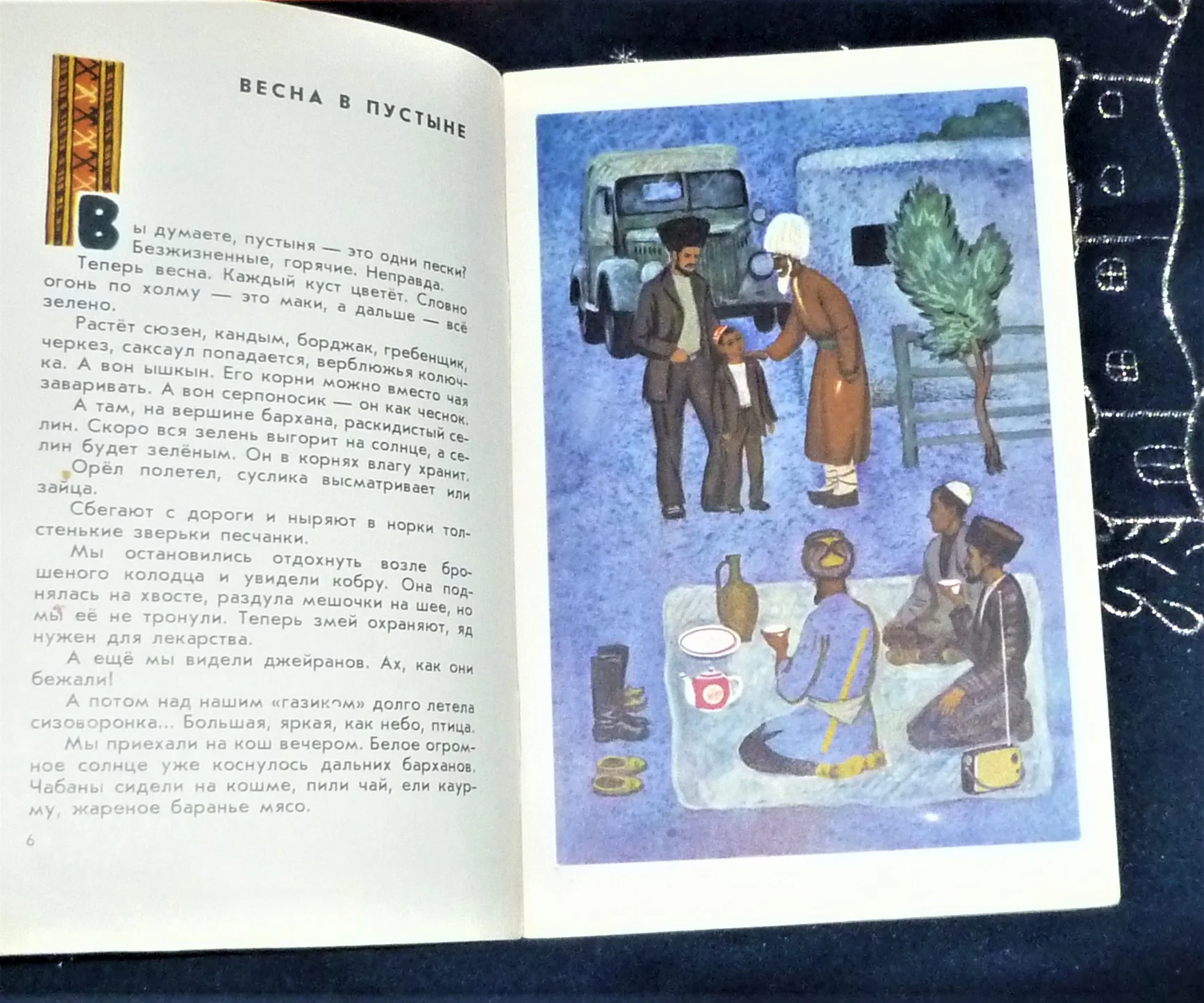 Глаза Чабана | Тангрыкулиев Каюм - миниатюра 2