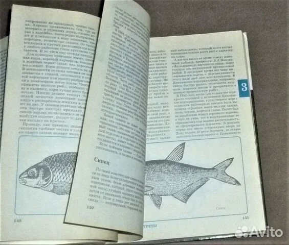 Рыбацкая академия | Калугин Михаил Алексеевич 3 книги - миниатюра 7
