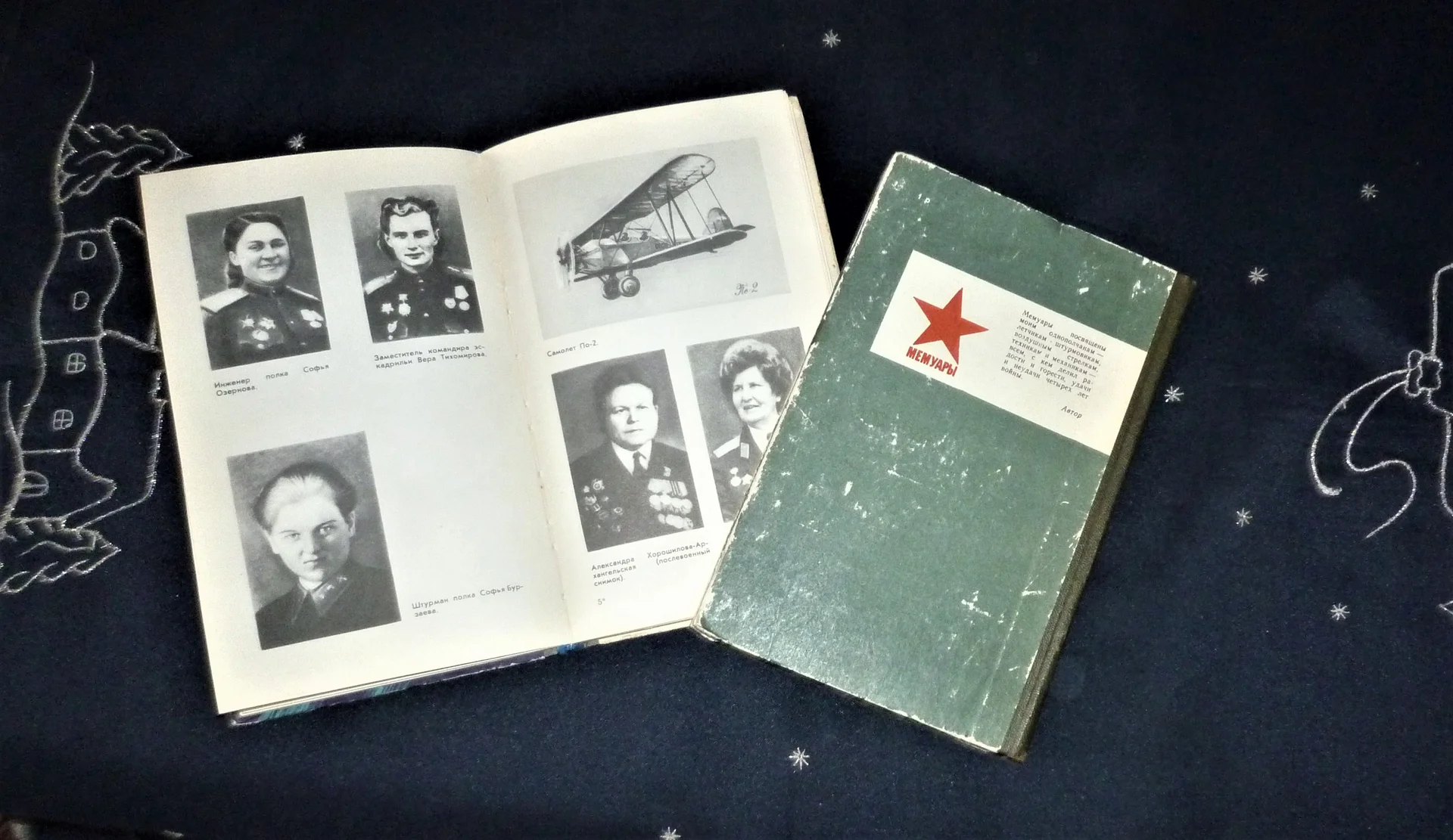 Ласточки над фронтом Чечнева Штурмовики над Днепром | Пальмов - миниатюра 6