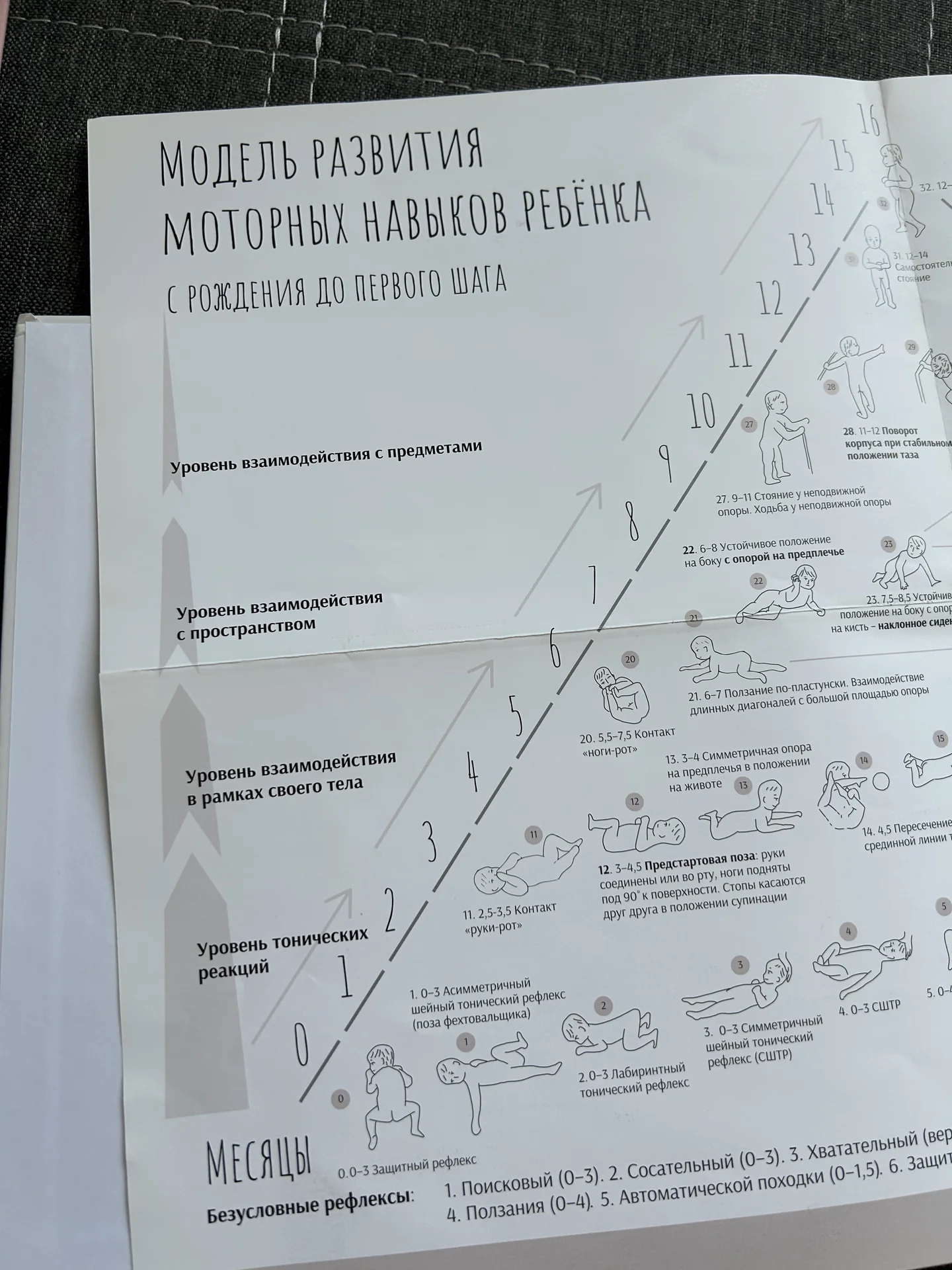 Сидеть ползать ходить книга - миниатюра 2