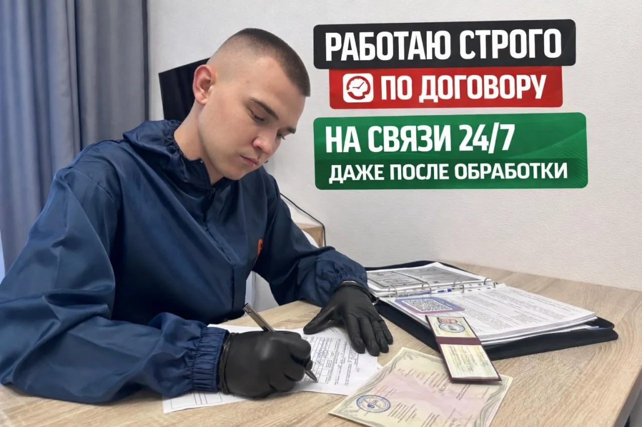 Дезинфекция уничтожение тараканов, клопов, клещей - миниатюра 2