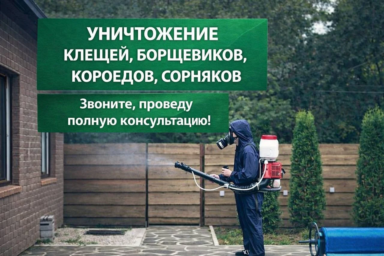 Дезинфекция уничтожение тараканов, клопов, клещей - миниатюра 3