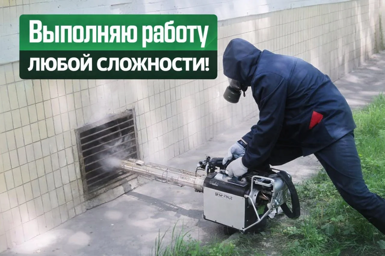 Дезинфекция уничтожение тараканов, клопов, клещей - миниатюра 10