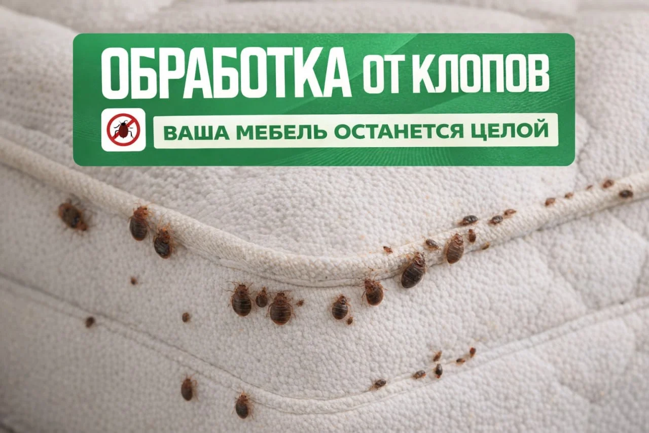 Дезинфекция уничтожение тараканов, клопов, клещей - миниатюра 9