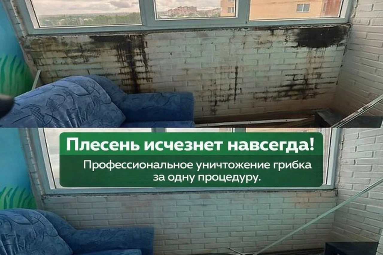 Дезинфекция уничтожение тараканов, клопов, клещей - миниатюра 11