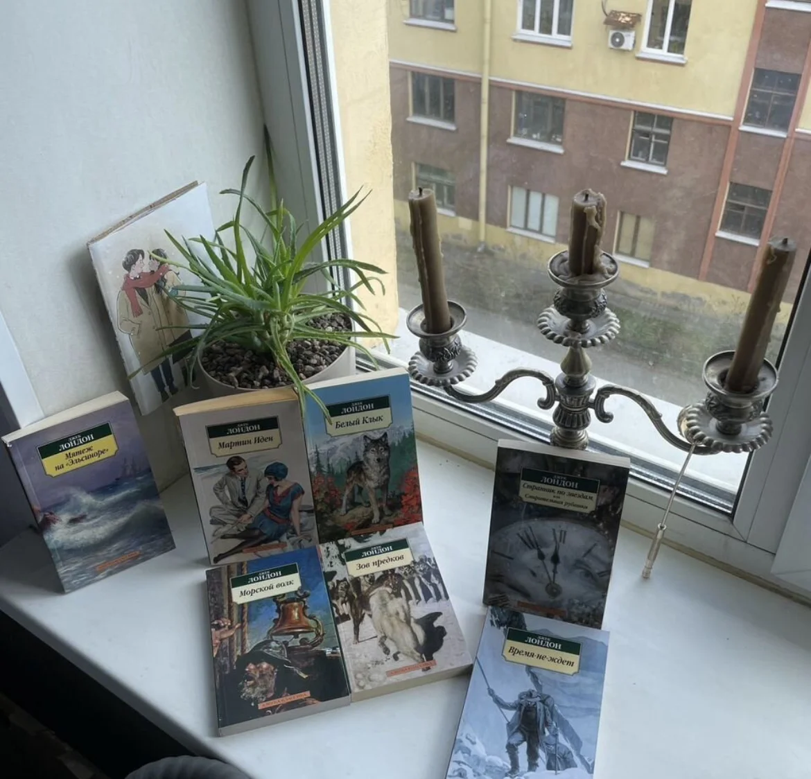 Книги на любой вкус - миниатюра 4