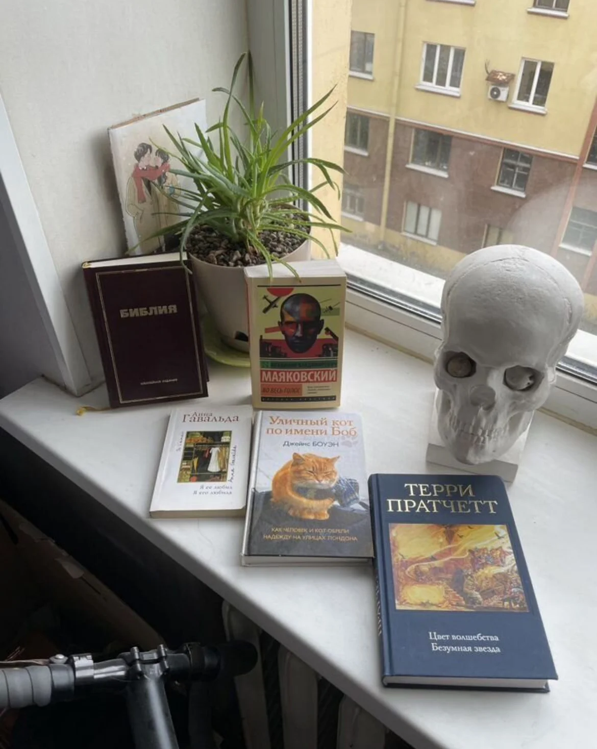 Книги разные - миниатюра 3