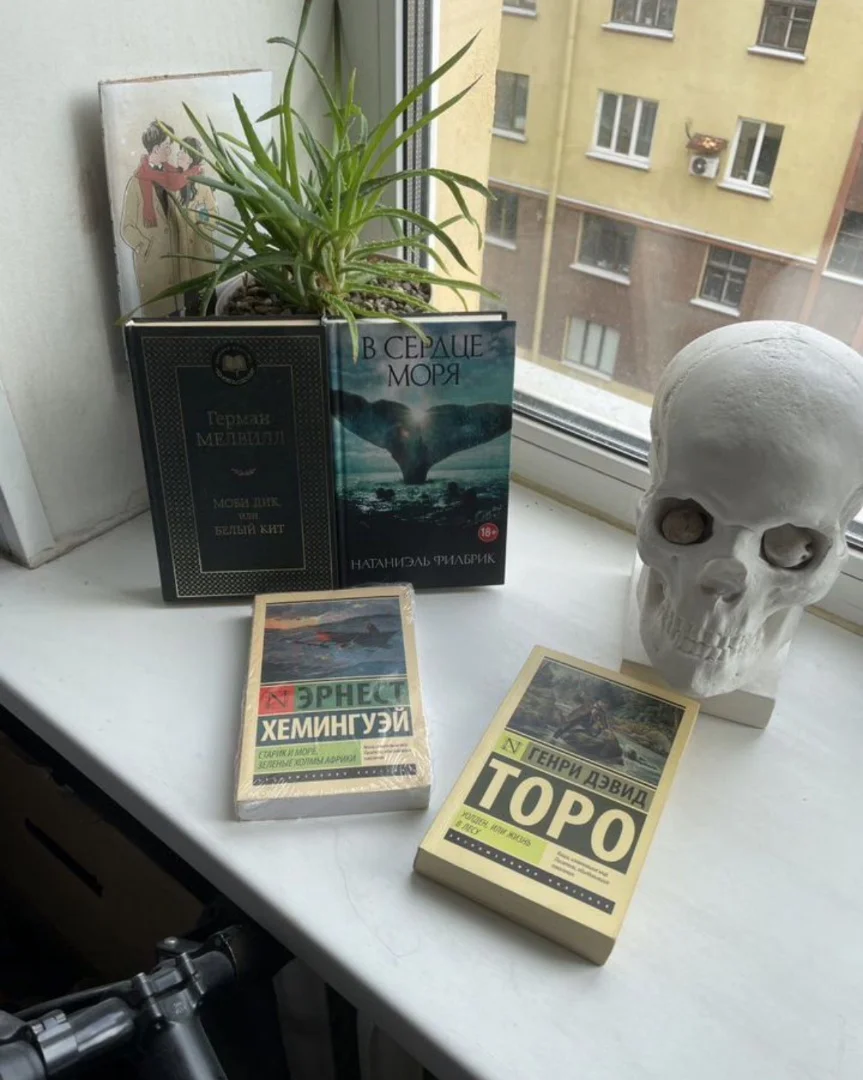Книги разные - миниатюра 5