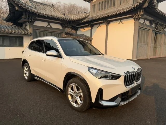 BMW X1 20Li - миниатюра 2