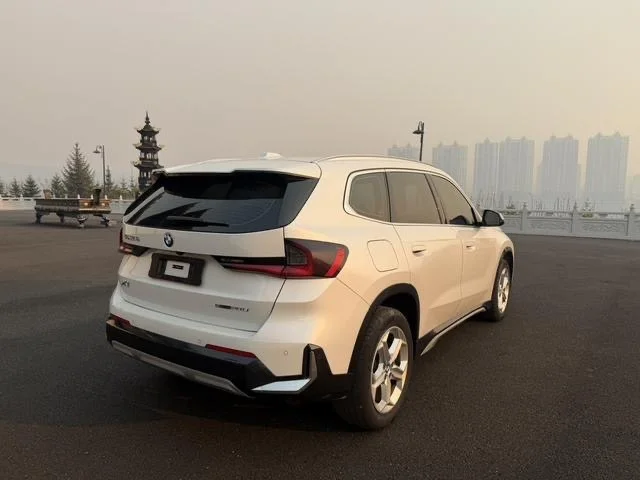 BMW X1 20Li - миниатюра 3