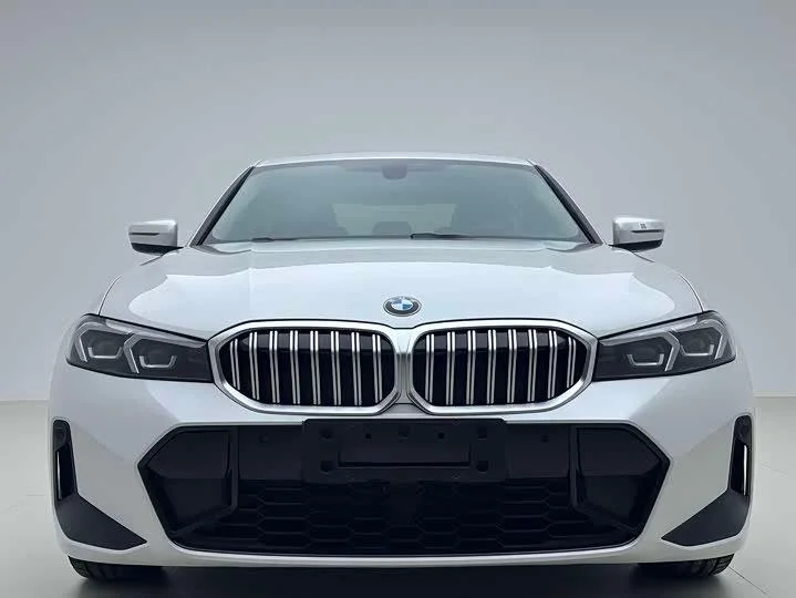 BMW 320Li M Sport 2023 - миниатюра 2