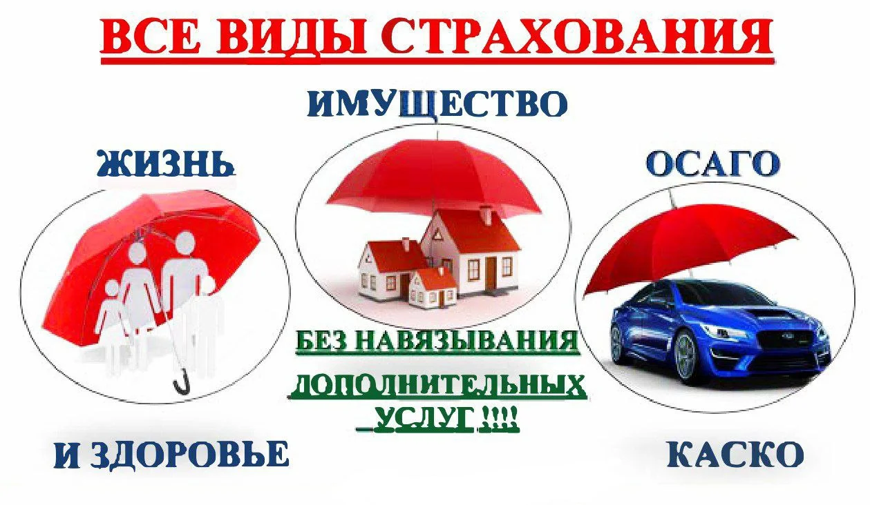 Страхование - миниатюра 3