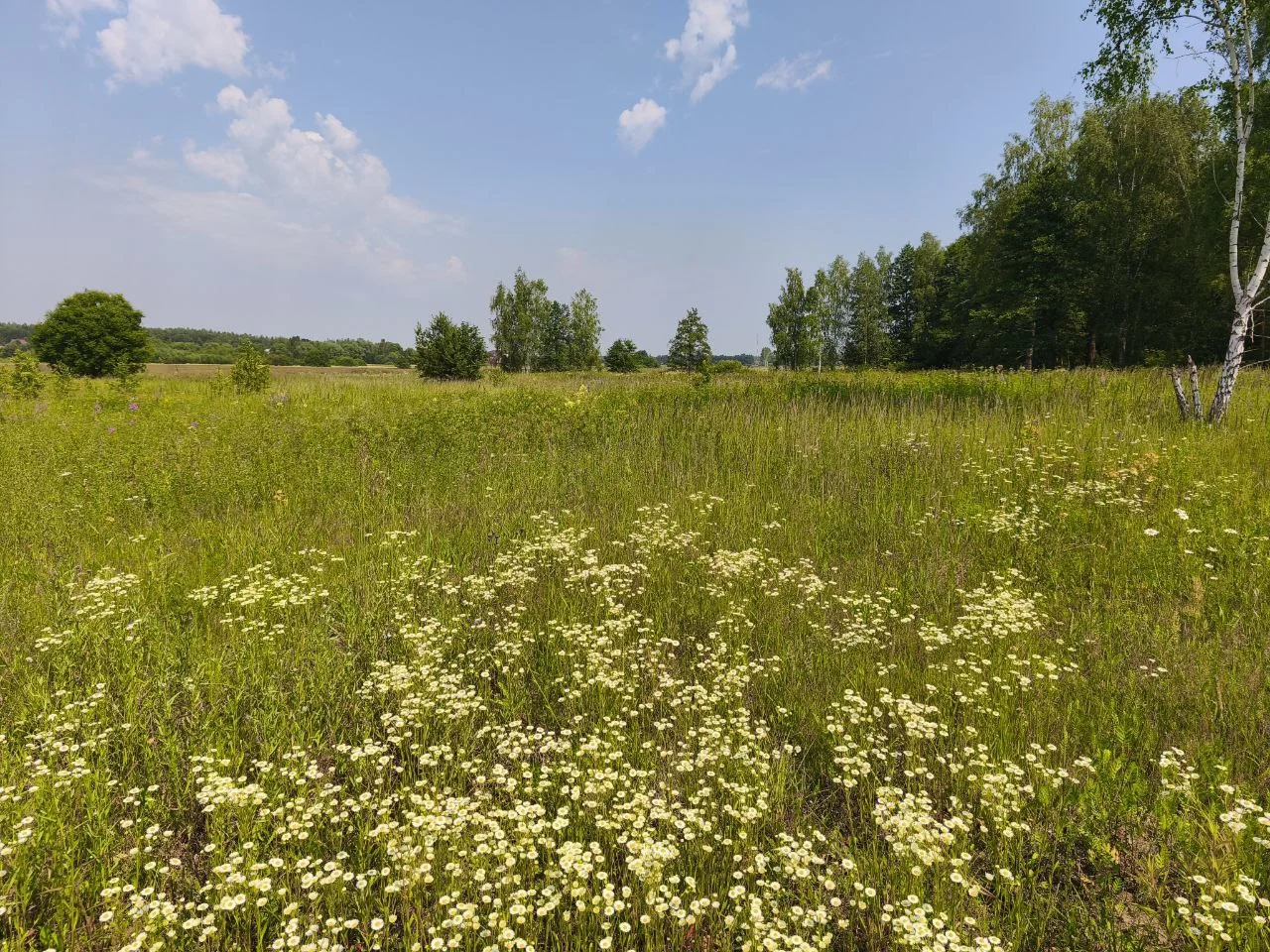 Участок 1 сотка - миниатюра 5