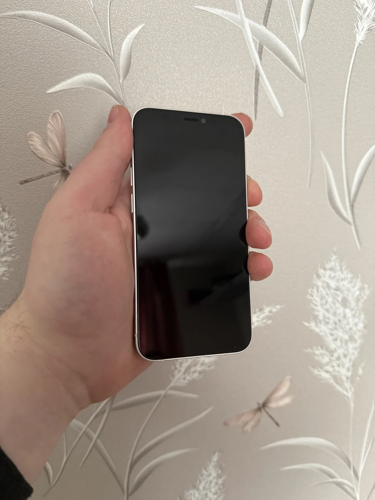 iPhone 12 mini 128Gb - миниатюра 2