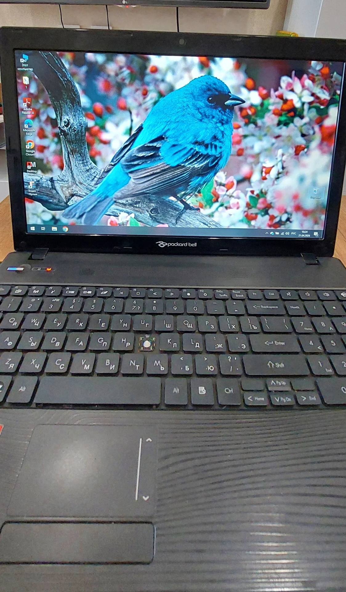 Ноутбук Packard bell easynote TK 85 - изображение 1