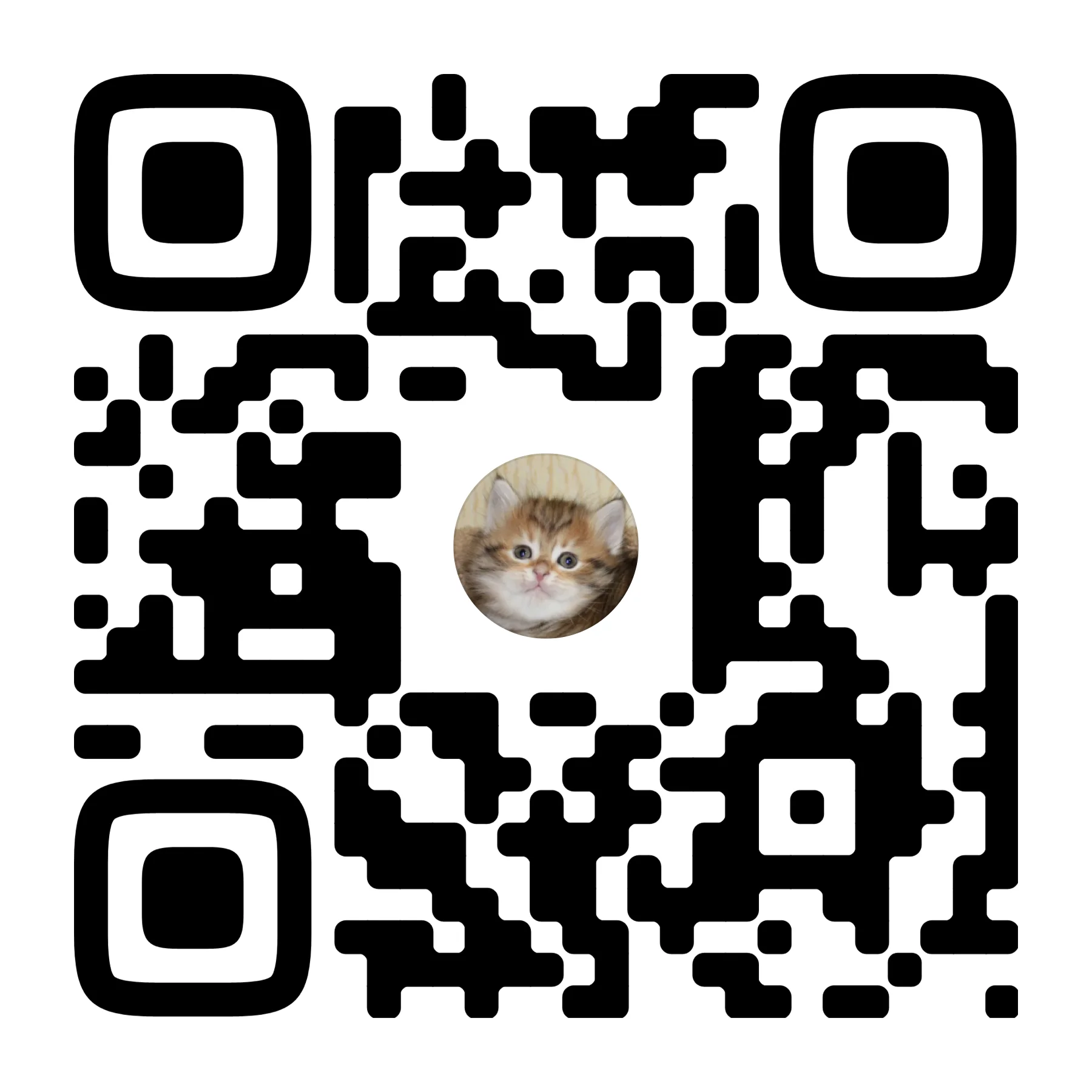 Сибирский котёнок - миниатюра 5