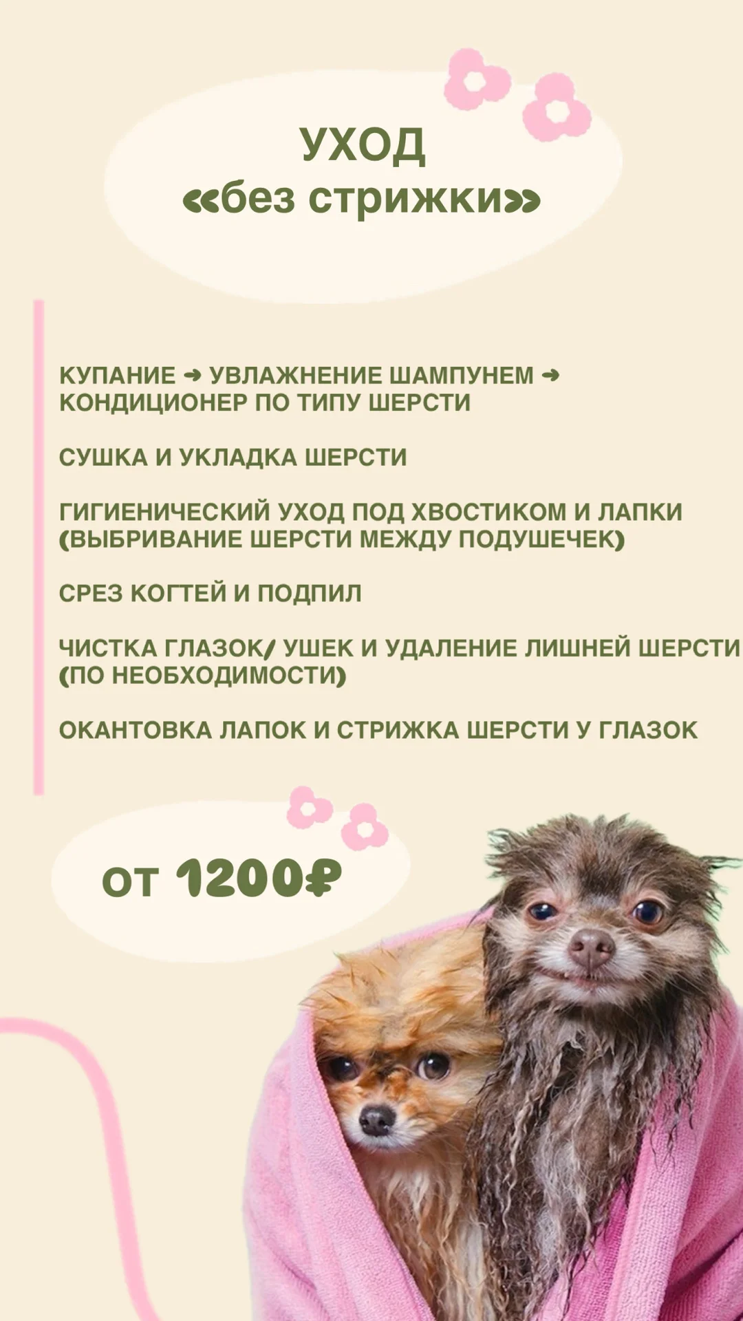 Грумер|уход за хвостиками - миниатюра 3