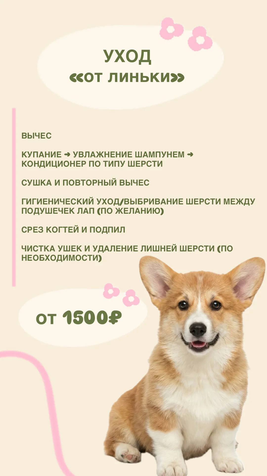 Грумер|уход за хвостиками - миниатюра 4