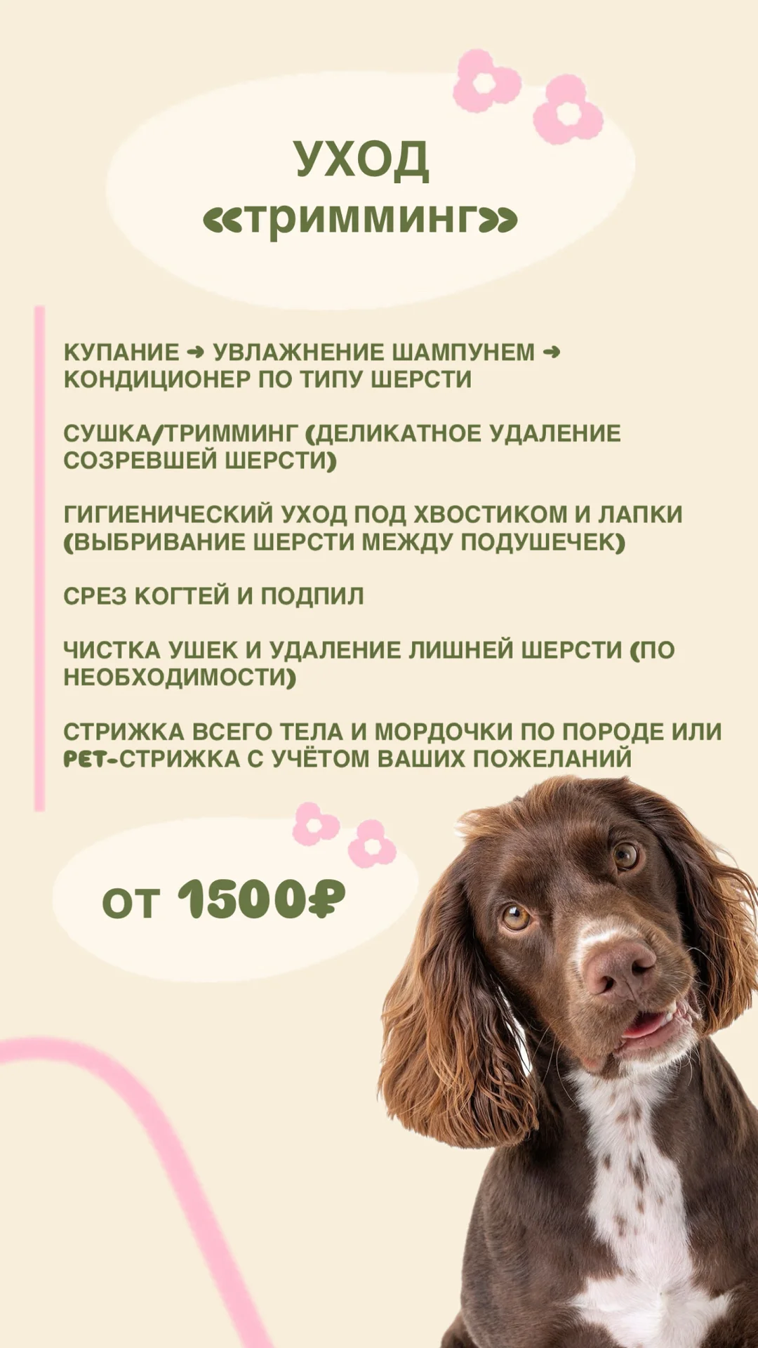 Грумер|уход за хвостиками - миниатюра 5